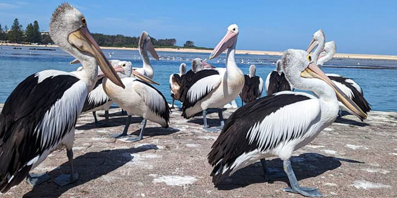Εκδρομἠ στον ‘Αγιο Χαρἀλαμπο και Entrance