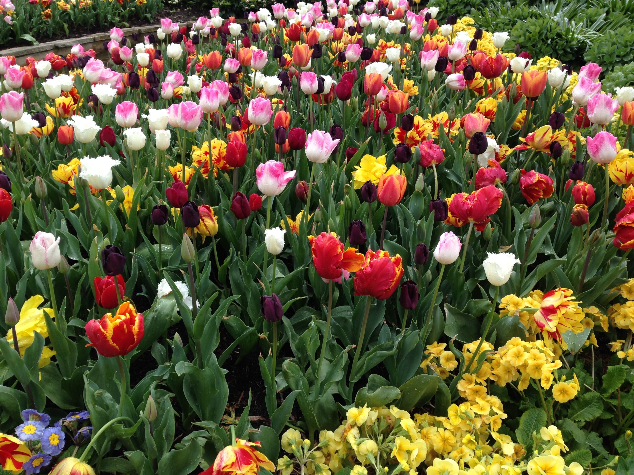 Εκδρομή στην Καμπέρα